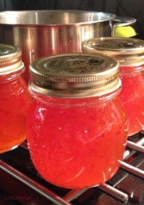 habanero jelly jars